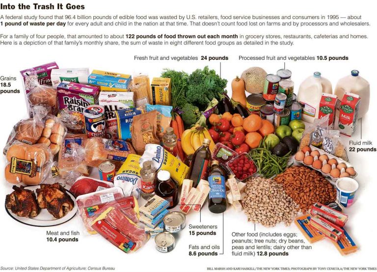 how-much-food-does-the-average-american-family-throw-away-each-month