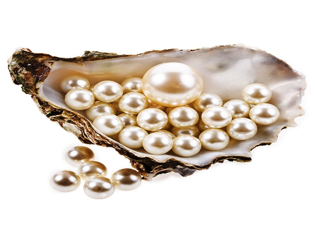 How are Pearls Made? | Groovy Green